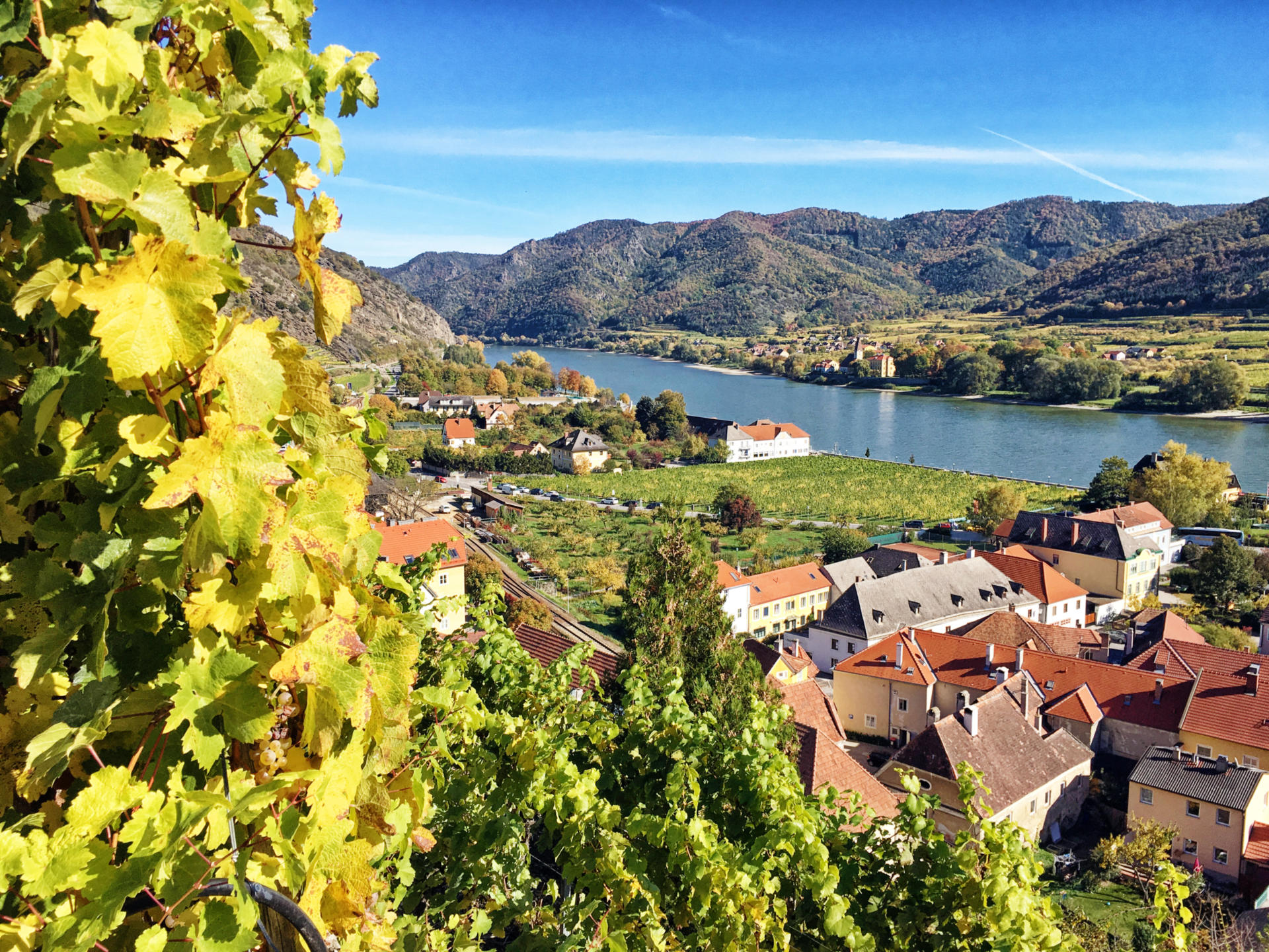 Die Donau ist mit 2857km der längste und gleichzeitig wichtigste Strom Europas. Auf ihrem Weg zwischen Deutschland und dem Schwarzen Meer verbindet sie sage und schreibe 10 Anrainerstaaten und ist Lebensader und Verkehrsweg gleichermaßen. Neben einer vielfältigen Natur von Gebirge, über wilde Schluchten, bis hin zu weitem Land, bietet die Donau Lebensraum für eine einmalige Tierwelt.